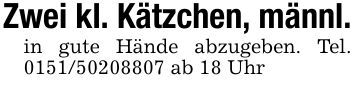 Zwei kl. Kätzchen, männl.in gute Hände abzugeben. Tel. *** ab 18 Uhr