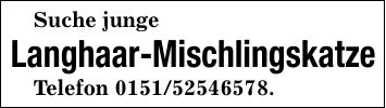 Suche jungeLanghaar-MischlingskatzeTelefon ***.