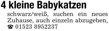 4 kleine Babykatzenschwarz/weiß, suchen ein neues Zuhause, auch einzeln abzugeben, _ ***