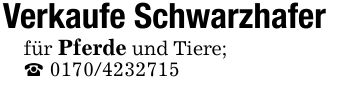 Verkaufe Schwarzhafer für Pferde und Tiere; _ ***