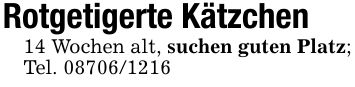 Rotgetigerte Kätzchen14 Wochen alt, suchen guten Platz; Tel. ***