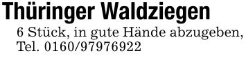 Thüringer Waldziegen6 Stück, in gute Hände abzugeben, Tel. ***