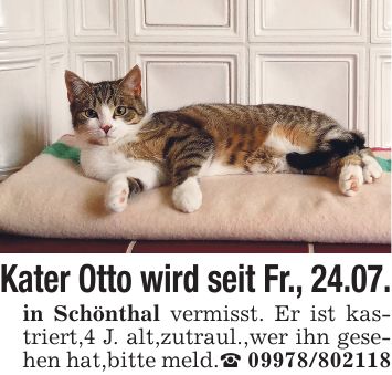 Kater Otto wird seit Fr., 24.07. in Schönthal vermisst. Er ist kastriert,4 J. alt,zutraul.,wer ihn gesehen hat,bitte meld._ ***