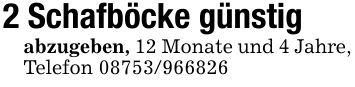 2 Schafböcke günstigabzugeben, 12 Monate und 4 Jahre, Telefon ***