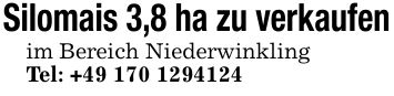 Silomais 3,8 ha zu verkaufen im Bereich Niederwinkling Tel: +***