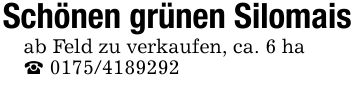 Schönen grünen Silomaisab Feld zu verkaufen, ca. 6 ha_ ***