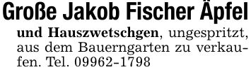 Große Jakob Fischer Äpfelund Hauszwetschgen, ungespritzt, aus dem Bauerngarten zu verkaufen. Tel. ***