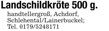 Landschildkröte 500 g.handtellergroß, Achdorf,Schlehental/Lainerbuckel; Tel. ***