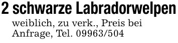 2 schwarze Labradorwelpenweiblich, zu verk., Preis beiAnfrage, Tel. ***
