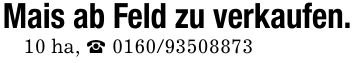 Mais ab Feld zu verkaufen.10 ha, _ ***