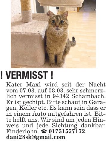 ! VERMISST ! Kater Maxl wird seit der Nacht vom 07.08. auf 08.08. sehr schmerzlich vermisst in 94342 Schambach. Er ist gechipt. Bitte schaut in Garagen, Keller etc. Es kann sein dass er in einem Auto mitgefahren ist. Bitte helft uns. Wir sind um jeden Hinweis und jede Sichtung dankbar. Finderlohn. _ *** dani28sk@gmail.com