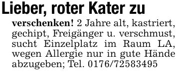 Lieber, roter Kater zu verschenken! 2 Jahre alt, kastriert,gechipt, Freigänger u. verschmust, sucht Einzelplatz im Raum LA, wegen Allergie nur in gute Hände abzugeben; Tel. ***