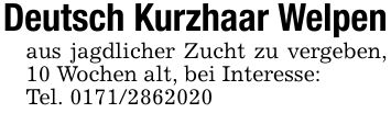 Deutsch Kurzhaar Welpenaus jagdlicher Zucht zu vergeben, 10 Wochen alt, bei Interesse:Tel. ***