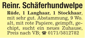 Reinr. SchäferhundwelpeRüde, 1 Langhaar, 1 Stockhaar, mit sehr gut. Abstammung, 9 Wo. alt, mit rote Papiere, geimpft, gechipt, sucht ein neues Zuhause, Preis nach VB; _ ***
