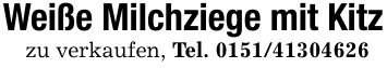 Weiße Milchziege mit Kitzzu verkaufen, Tel. ***