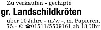 Zu verkaufen - gechipte gr. Landschildkröten über 10 Jahre - m/w -, m. Papieren, 75.- €; _*** ab 18 Uhr