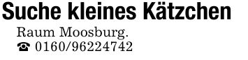 Suche kleines KätzchenRaum Moosburg._ ***