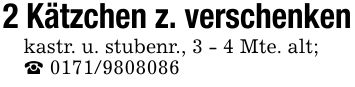 2 Kätzchen z. verschenkenkastr. u. stubenr., 3 - 4 Mte. alt;_ ***