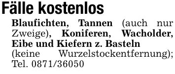 Fälle kostenlosBlaufichten, Tannen (auch nur Zweige), Koniferen, Wacholder, Eibe und Kiefern z. Basteln(keine Wurzelstockentfernung); Tel. ***