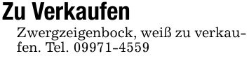 Zu Verkaufen Zwergzeigenbock, weiß zu verkaufen. Tel. ***