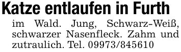 Katze entlaufen in Furthim Wald. Jung, Schwarz-Weiß, schwarzer Nasenfleck. Zahm und zutraulich. Tel. ***