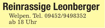 Reinrassige LeonbergerWelpen. Tel. ***ab 18 Uhr